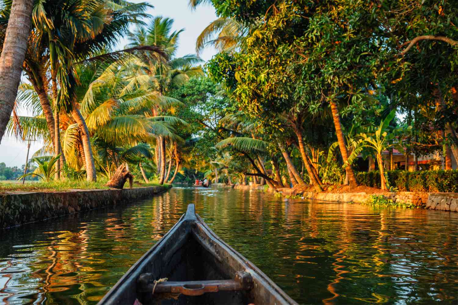 Backwaters